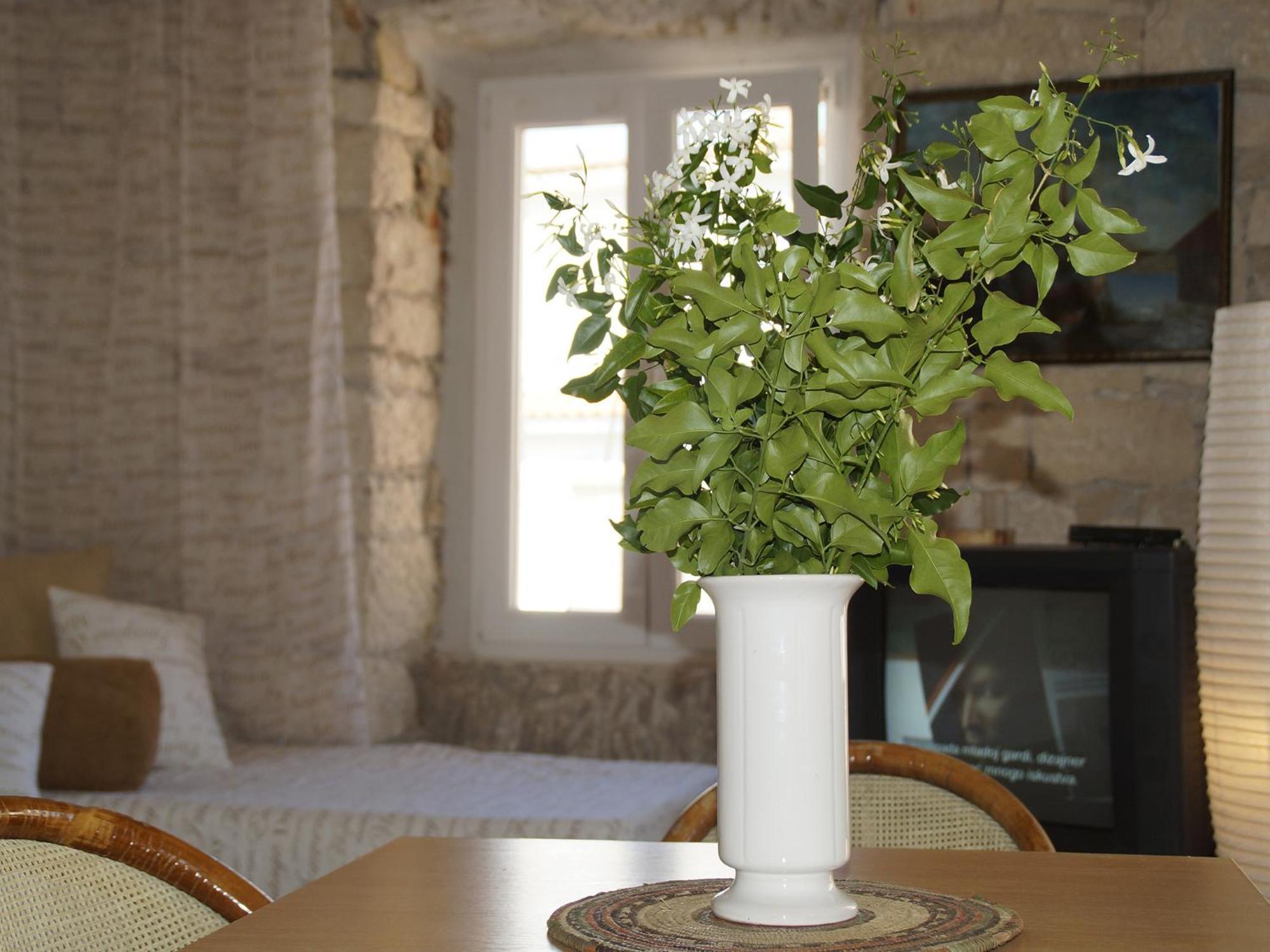 Apartments Stelina Đảo Korčula Phòng bức ảnh